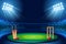 Cricket stadium Hitting vector background