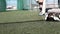 Cricket training equipment sliding close-up