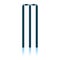 Cricket Wicket Icon