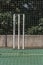 Cricket wickets