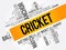 Cricket word cloud collage, sport concept background