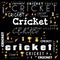 cricket word cloud use for banner, painting, motivation, web-page, website background, t-shirt & shirt printing, poster, gritting