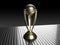 Cricket world cup