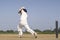 A cricketer playing cricket on the pitch in white dress for test matches. Sportsperson hitting a shot on the cricket ball