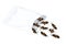 Crickets insects for eat as food deep-fried crispy snack in a foil wrap bag ready to eating for take away. It is good source of