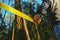 Crime scene. Yellow protective prohibition tape in a pine forest.Man fencing crime scene with yellow tape.Signs and