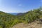 Crimea. Forest on the slopes of the coastal mountains.