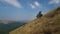 Crimea mountain with crimean pines on the slope. Mountains against sky