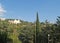 Crimea, Yalta. View of ancient park, summer