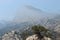 Crimean mountains and a tree on the cliff in springtime