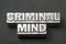 Criminal mind bm