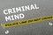 Criminal Mind concept