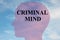 Criminal Mind concept