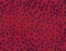 Crimson cheetah fur with blue round shape spots, short hair