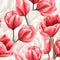 Crimson and Cream Elegance: AI-Generated Tulip Splendor Illustration