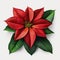 Crimson Elegance: Poinsettia in Full Bloom