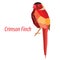 Crimson finch