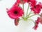 Crimson gerberas in glass vase from above