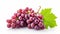 Crimson Harvest: A Vibrant Array of Red Grapes and Lush Green Leaves on a Serene White Canvas -- in