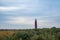 Crimson Lighthouse Overlooking Coastal Shrubs Under Cloudy Skies