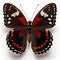 Crimson Rose Pachliopta hector butterfly. Beautiful Butterfly in Wildlife. Isolate on white background