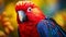 Crimson Rosella colorful Parrot