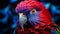 Crimson Rosella colorful Parrot