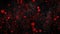 Crimson Spots on Black Background, abstract illustration