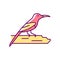 Crimson sunbird RGB color icon