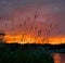 Crimson sunset at pechora river