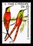 Crimson Topaz (Topaza pella), Hummingbirds serie, circa 1989