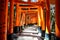 Crimson torii gates over a path at Fushimi Inari-taisha in Kyoto, Japan