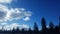 Crisp blue sky with pine tree silhouettes