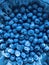 Crisp blueberries in a silver, blueish bowl - FRUIT