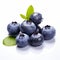 Crisp Blueberry Product Photography On White Background