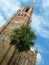 Crisp and clear backdrop to the beautiful Charleston church