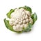 Crisp and Delicate: Cauliflower on White Background