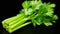 Crisp Delight: Celery Isolated