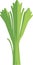 Crisp Delight: A Simple and Minimalist Cartoon Illustration of a Realistic Celery