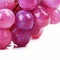 Crisp Delights Grape Glistening with Freshness and Water Droplets. Generative AI