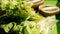 Crisp fresh lettuce with two half juicy ripe kiwi fruit on plastic plate. Green background. Salad leaf. Organic healthy food.