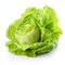 Crisp Green Lettuce Head Isolated on White Background. Generative ai