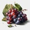 Crisp and Juicy: Grapes on a White Background