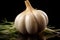 Crisp Simplicity: Garlic on a Clean Background. Generative AI