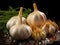 Crisp Simplicity: Garlic on a Clean Background. Generative AI