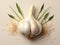 Crisp Simplicity: Garlic on a Clean Background. Generative AI
