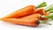 The crispness of white enhances the visual appeal of the vibrant carrot duo.