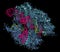 CRISPR-CAS9 gene editing complex from Streptococcus pyogenes. The Cas9 nuclease protein uses a guide RNA sequence to cut DNA at a