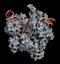 CRISPR-CAS9 gene editing complex from Streptococcus pyogenes. The Cas9 nuclease protein uses a guide RNA sequence to cut DNA at a