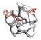 CRISPR-CAS9 gene editing complex from Streptococcus pyogenes. The Cas9 nuclease protein uses a guide RNA sequence to cut DNA at a